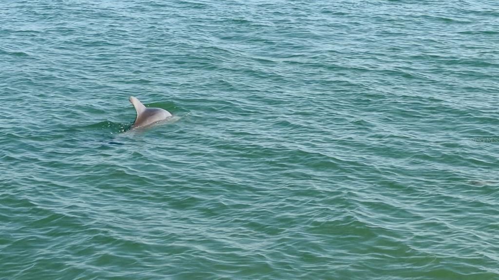 En Venta: $245,000 (2 camas, 1 baños, 1100 Pies cuadrados)