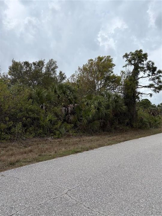 Active With Contract: $22,000 (0.33 acres)