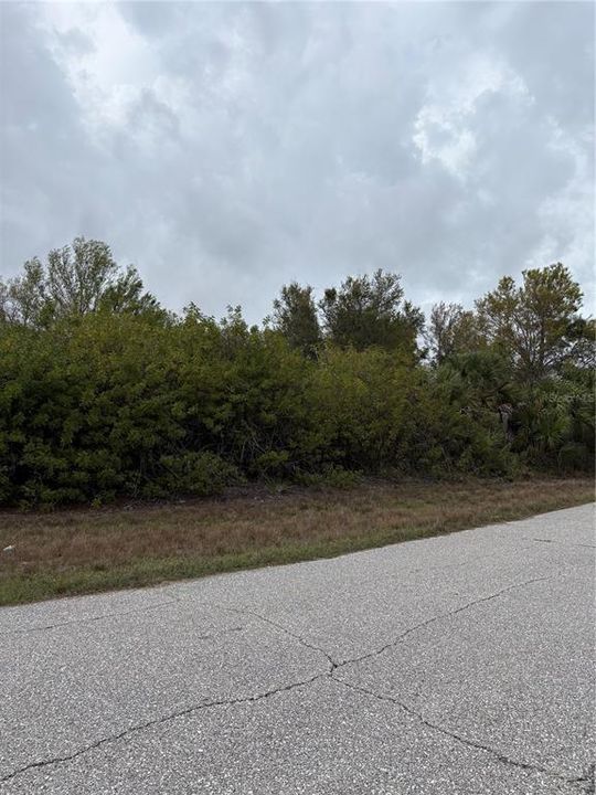 Active With Contract: $22,000 (0.33 acres)