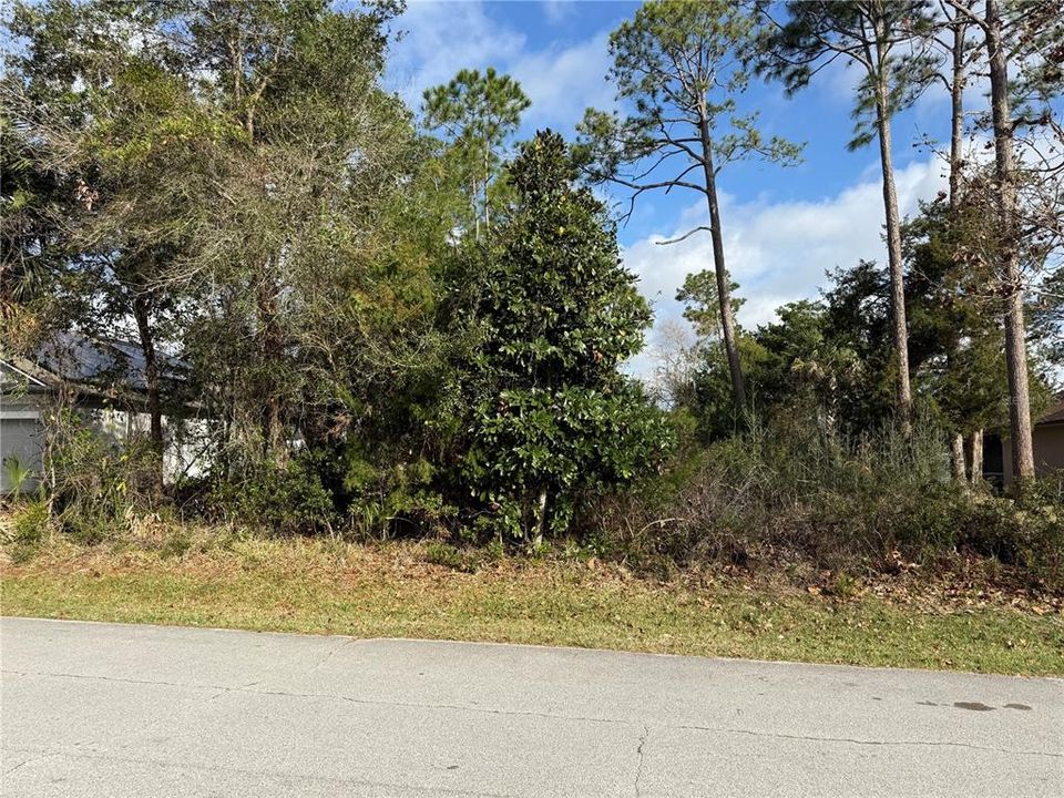 For Sale: $80,000 (0.25 acres)