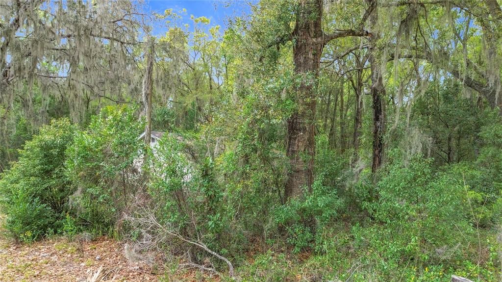 待售: $199,950 (6.53 acres)