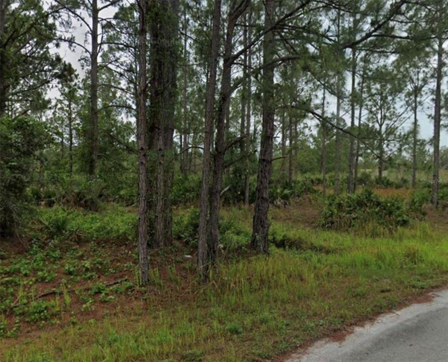 For Sale: $29,990 (0.23 acres)