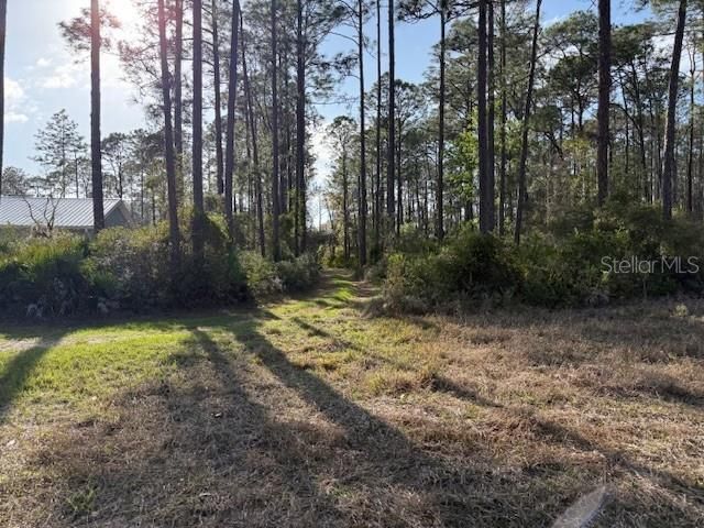 For Sale: $119,000 (5.00 acres)