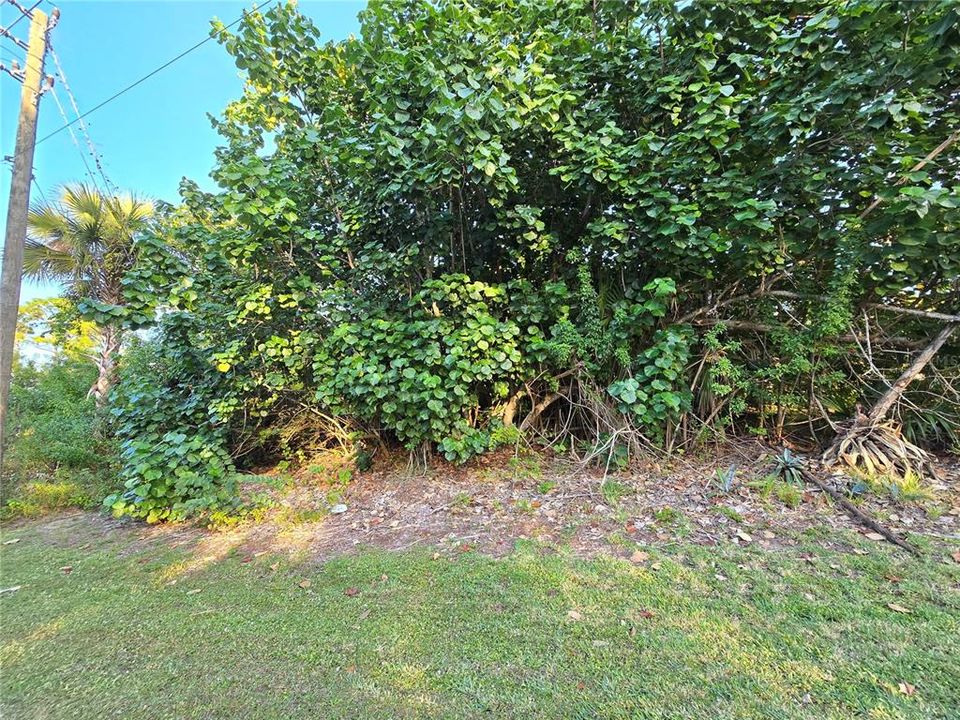 На продажу: $45,000 (0.29 acres)