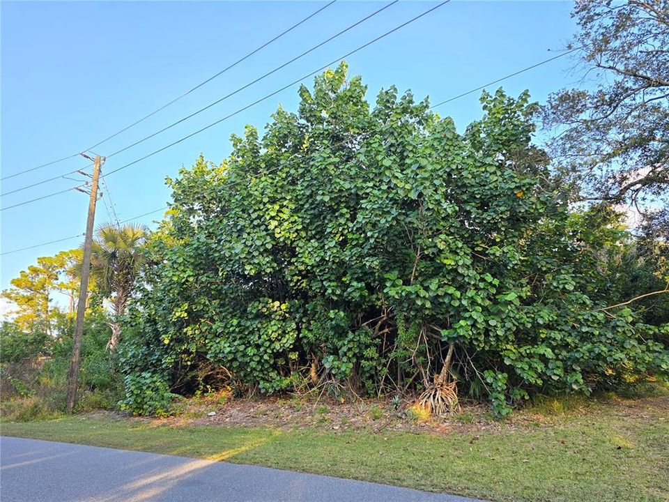 На продажу: $45,000 (0.29 acres)