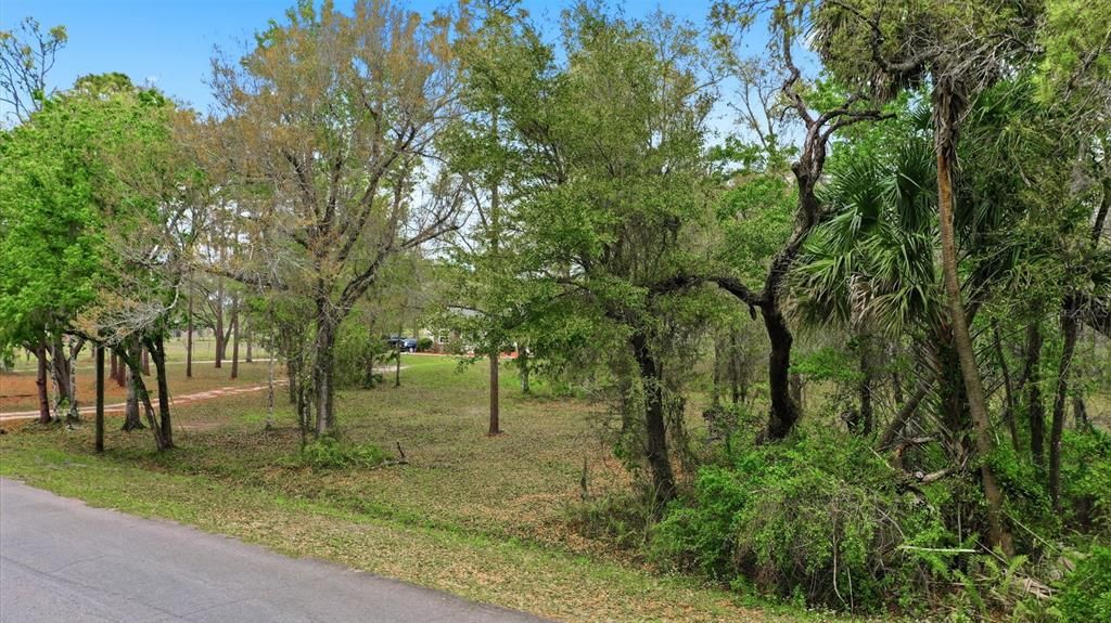 На продажу: $100,000 (1.09 acres)