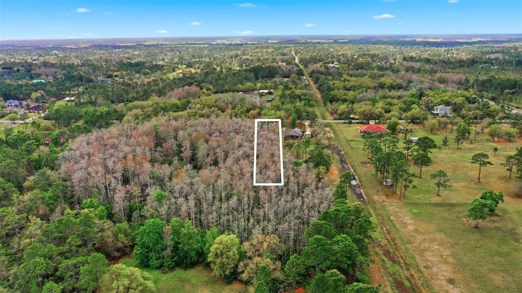 На продажу: $100,000 (1.09 acres)