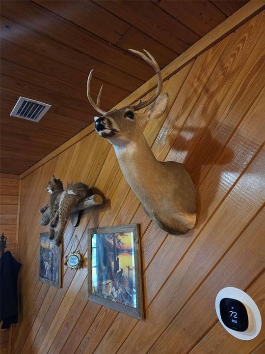 For Sale: $2,650,000 (3 beds, 2 baths, 1200 Square Feet)