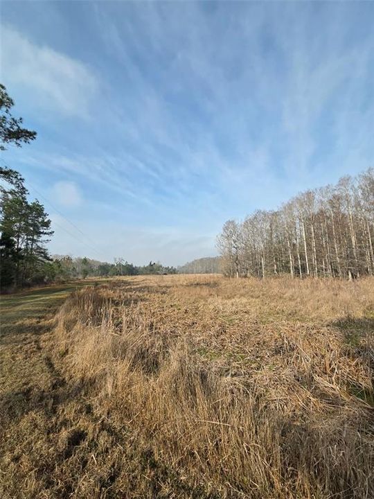 For Sale: $2,650,000 (3 beds, 2 baths, 1200 Square Feet)