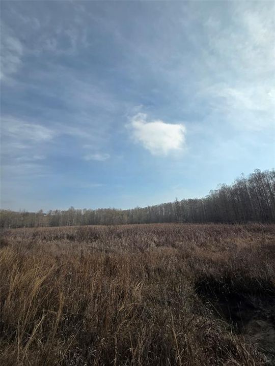 For Sale: $2,650,000 (3 beds, 2 baths, 1200 Square Feet)