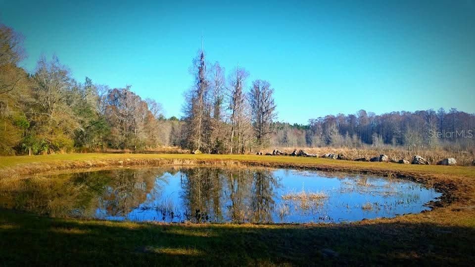 For Sale: $2,650,000 (3 beds, 2 baths, 1200 Square Feet)