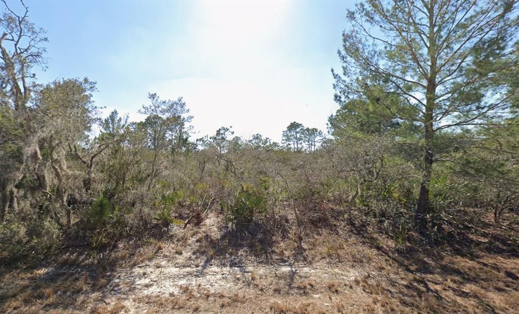 На продажу: $16,900 (0.46 acres)