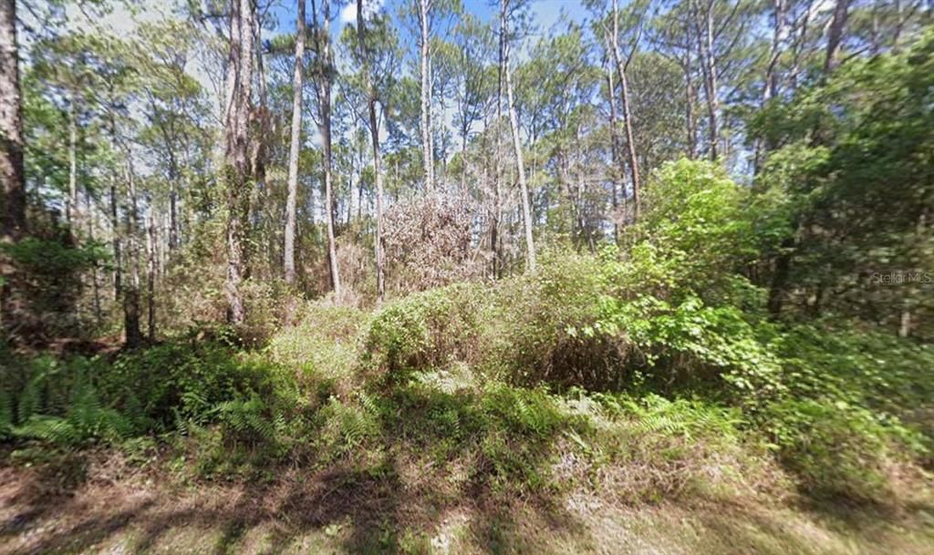 En Venta: $8,900 (0.23 acres)