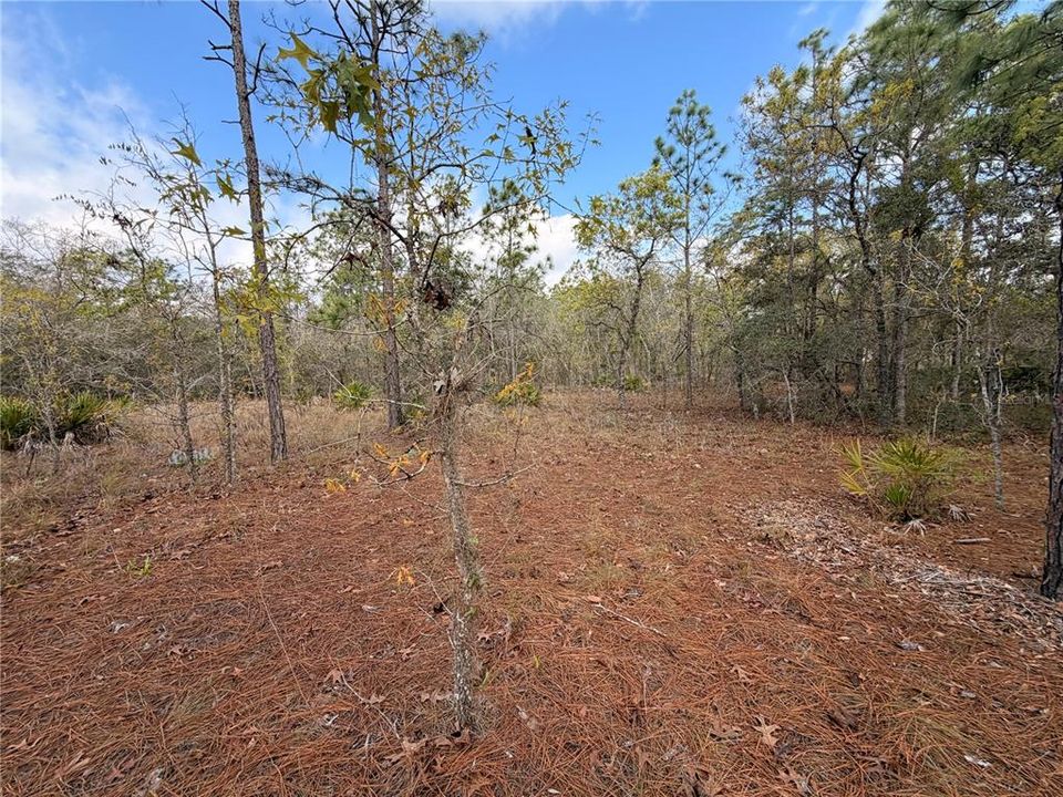 На продажу: $48,999 (0.85 acres)