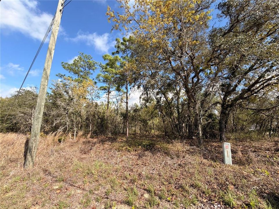 На продажу: $48,999 (0.85 acres)