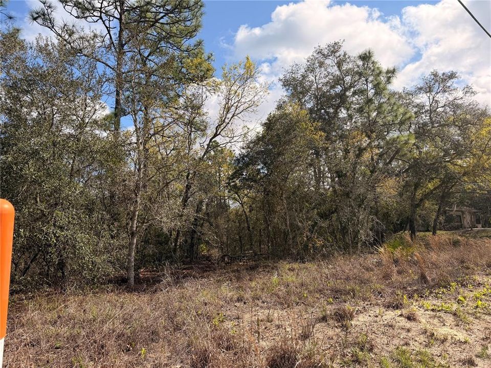 На продажу: $48,999 (0.85 acres)