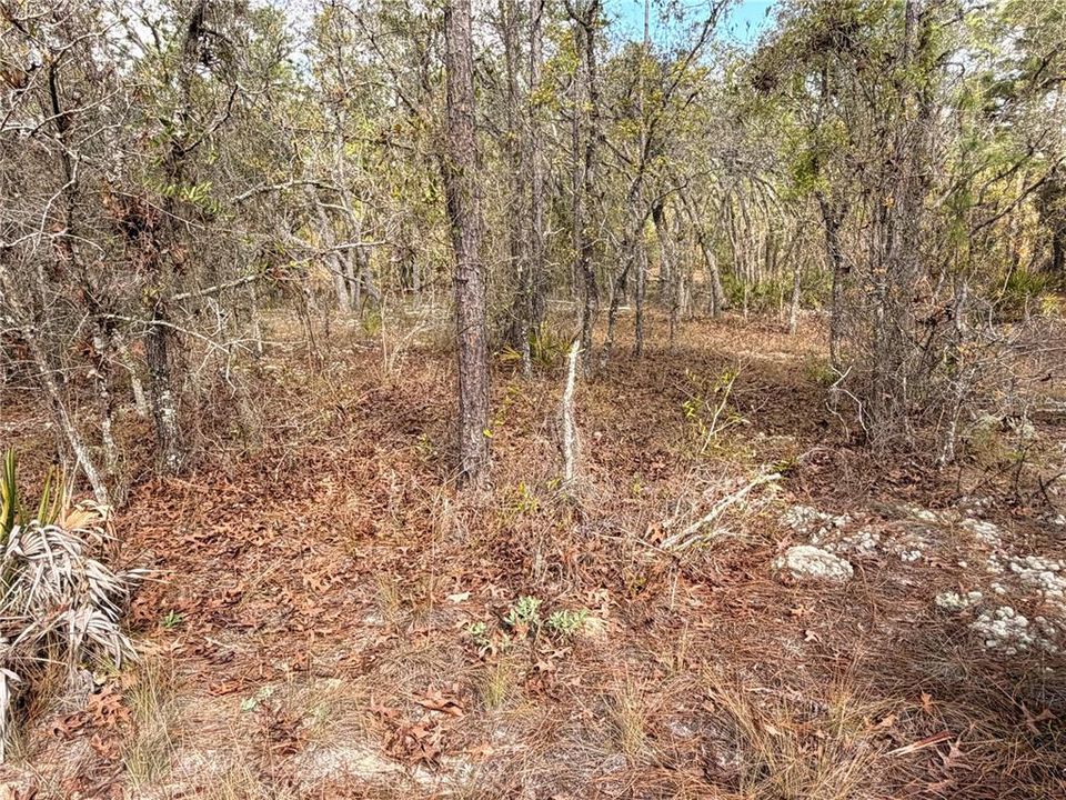 На продажу: $48,999 (0.85 acres)