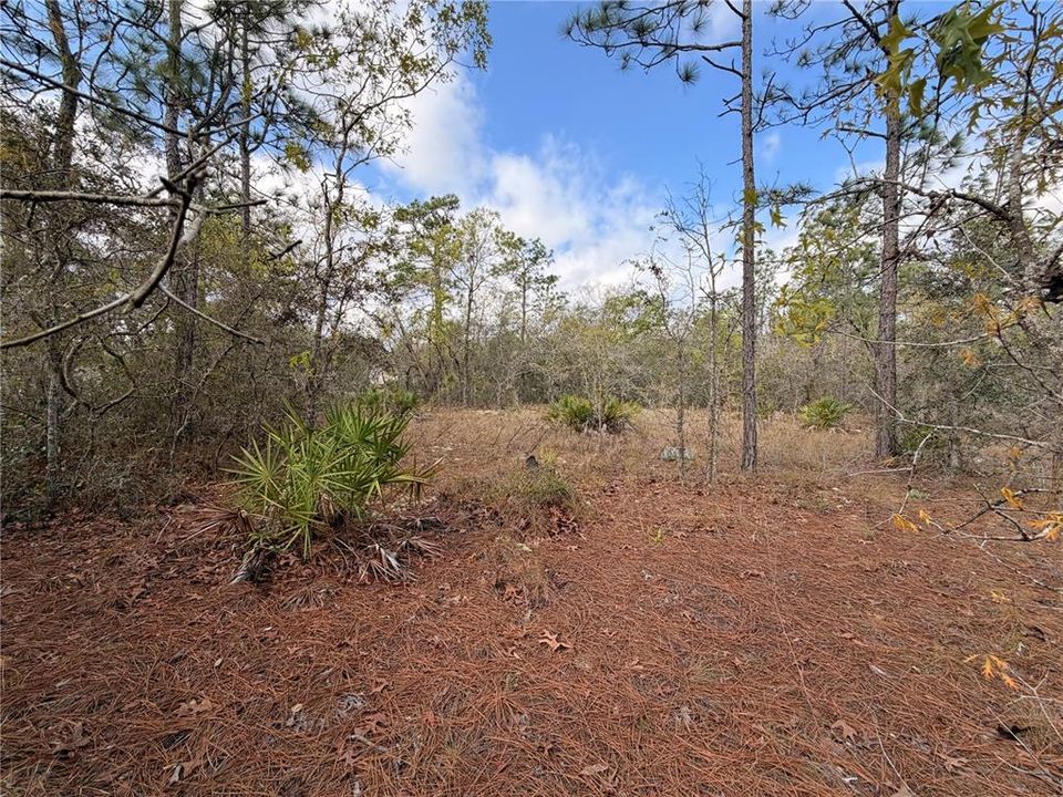 На продажу: $48,999 (0.85 acres)