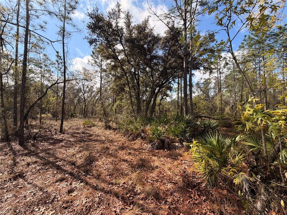 На продажу: $48,999 (0.85 acres)