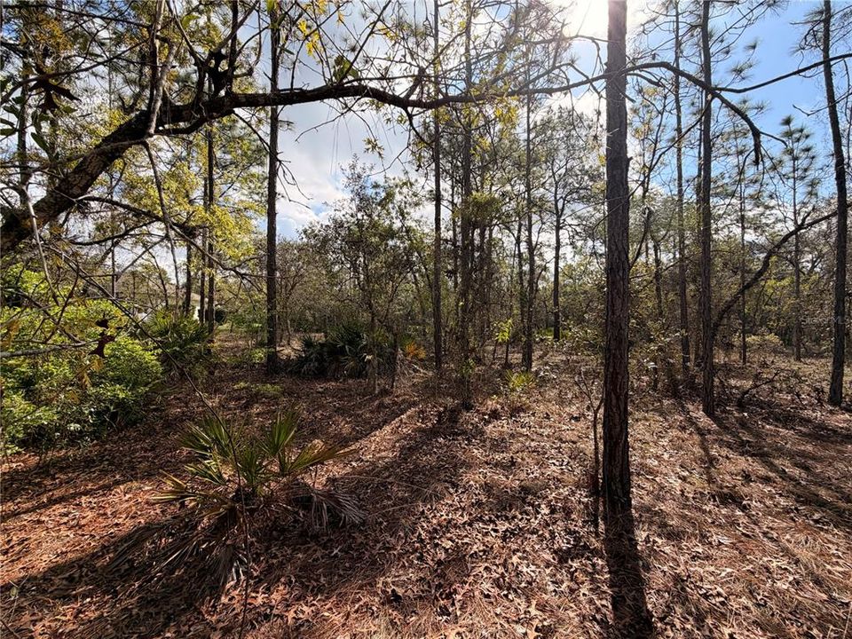 На продажу: $48,999 (0.85 acres)