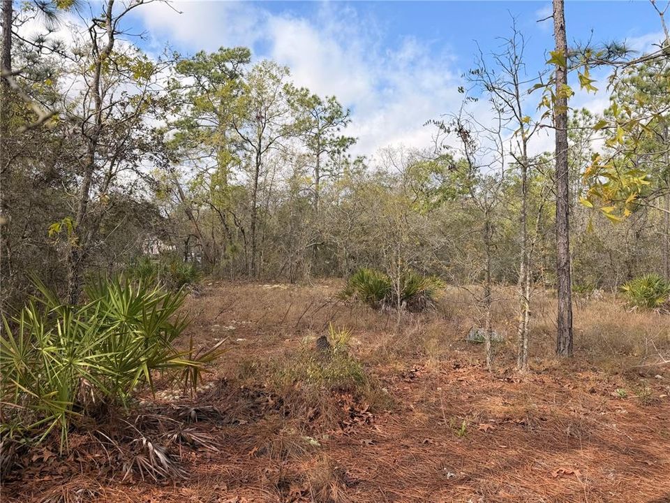 На продажу: $48,999 (0.85 acres)