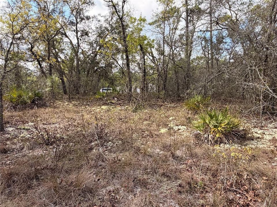 На продажу: $48,999 (0.85 acres)