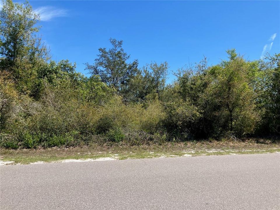 En Venta: $64,900 (0.75 acres)