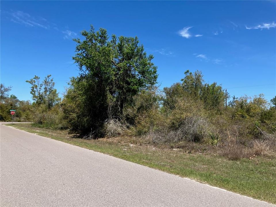 En Venta: $64,900 (0.75 acres)