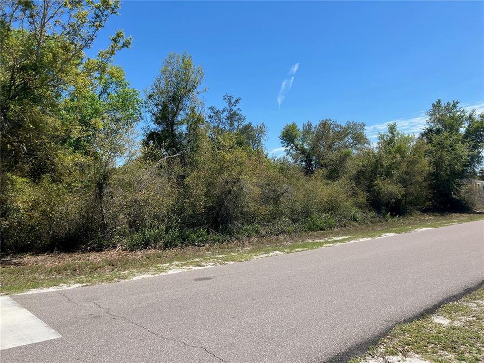 En Venta: $64,900 (0.75 acres)