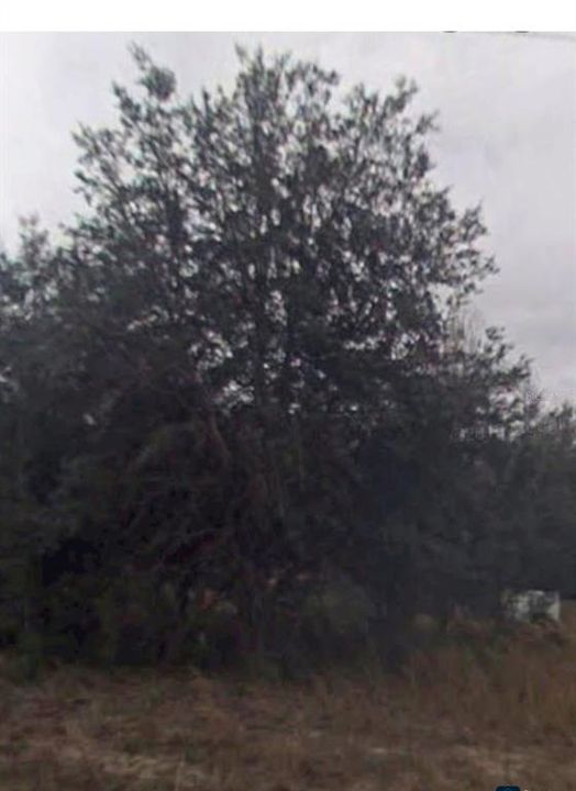 For Sale: $7,000 (0.21 acres)