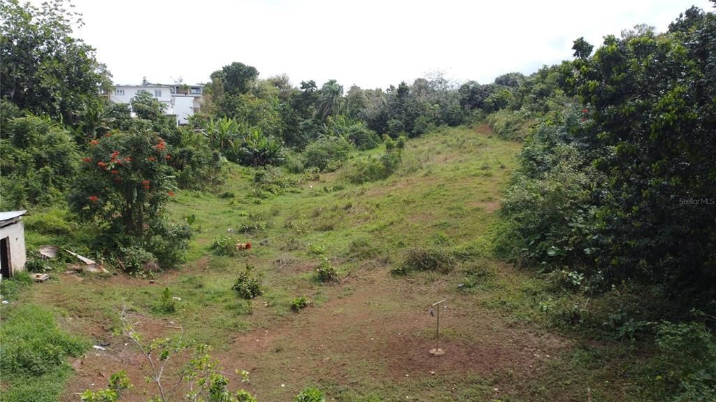 En Venta: $75,000 (1.23 acres)