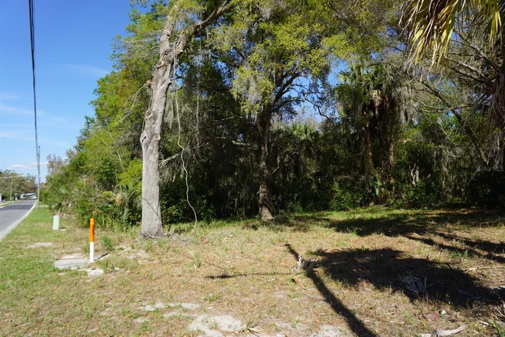 For Sale: $60,000 (1.16 acres)