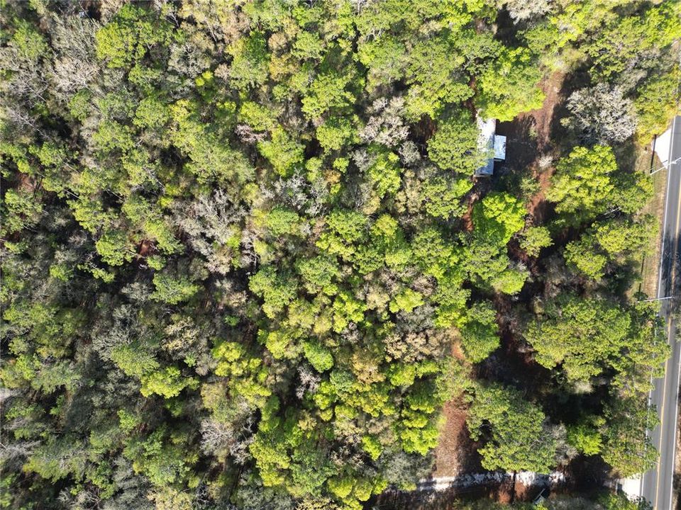 待售: $159,900 (3.03 acres)