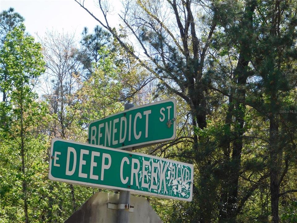 En Venta: $54,900 (1.51 acres)