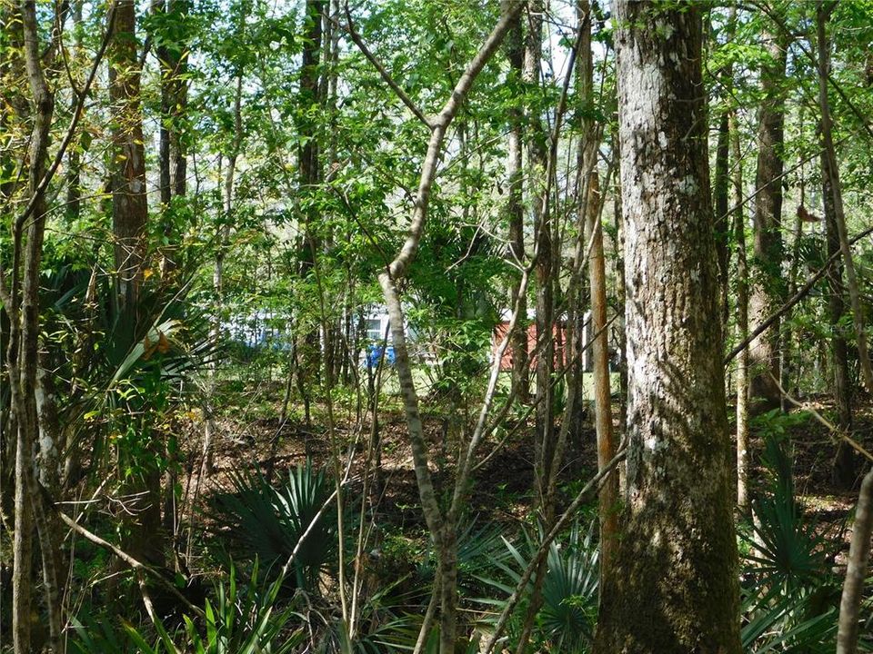 En Venta: $54,900 (1.51 acres)