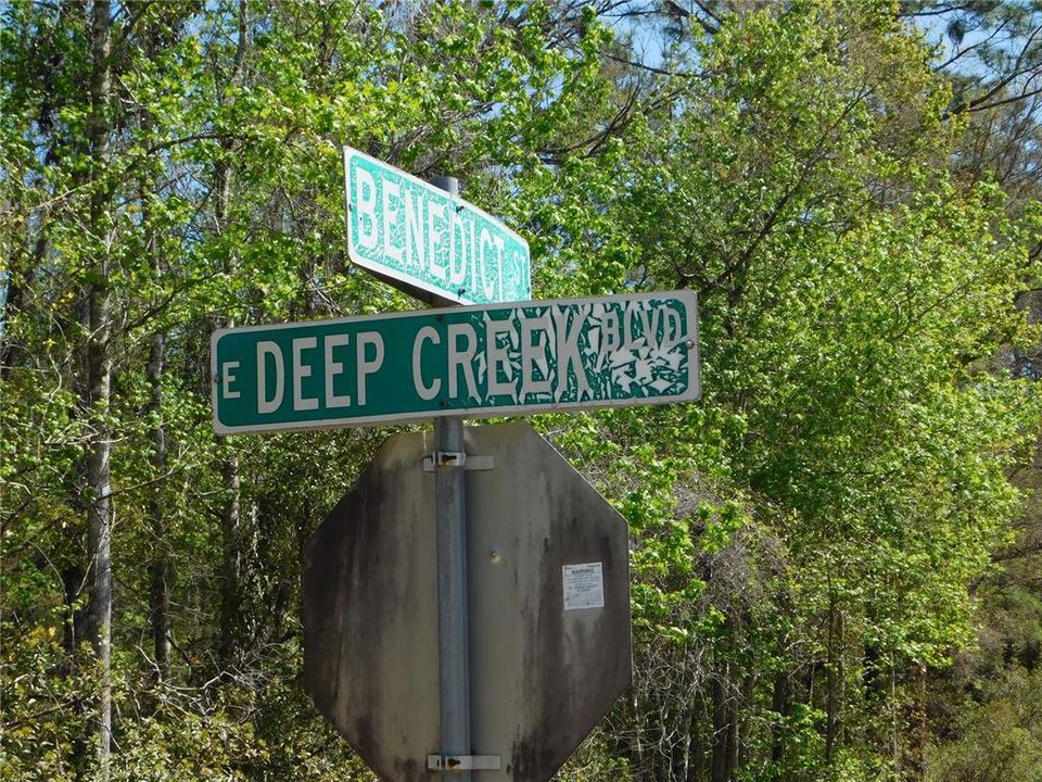 En Venta: $54,900 (1.51 acres)