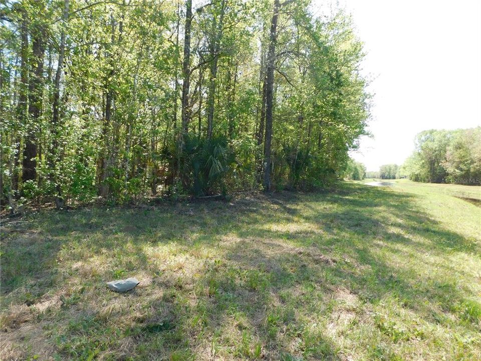 En Venta: $54,900 (1.51 acres)