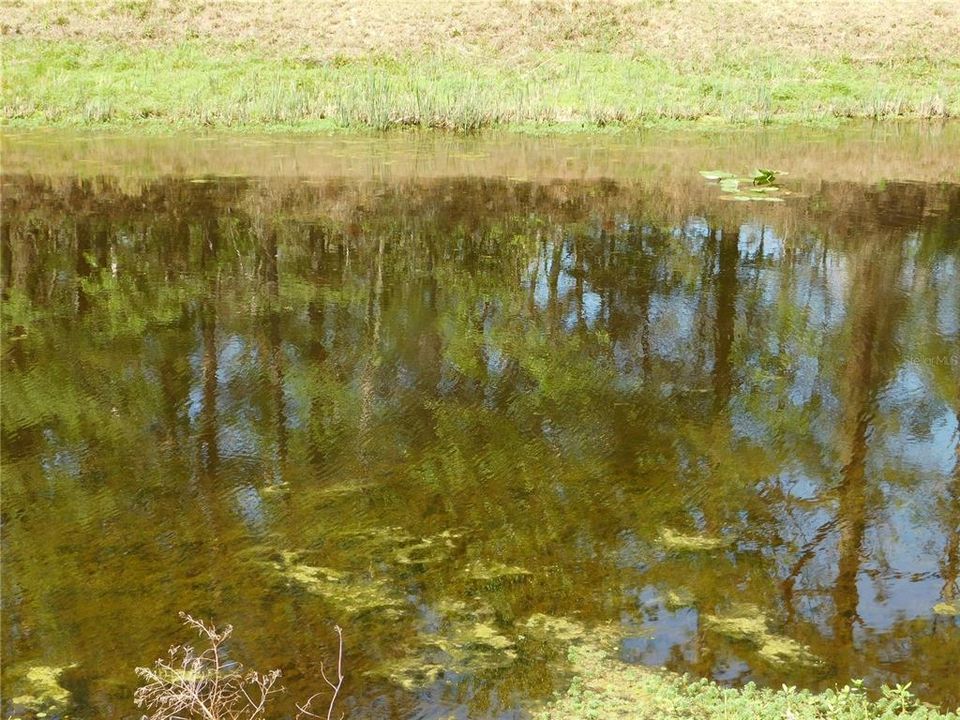 En Venta: $54,900 (1.51 acres)