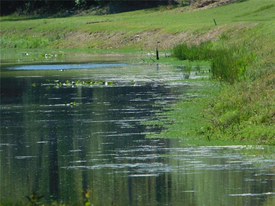 En Venta: $54,900 (1.51 acres)