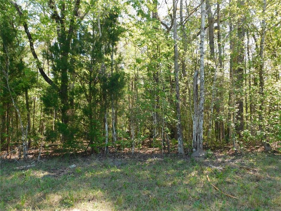 En Venta: $54,900 (1.51 acres)