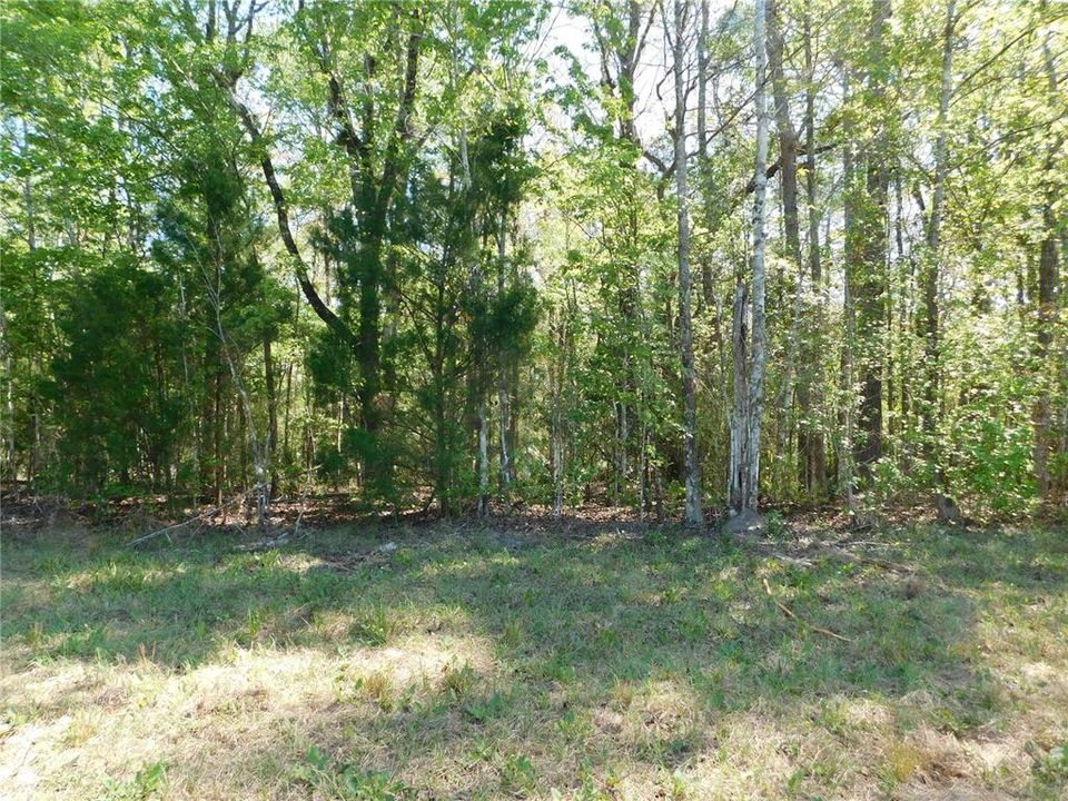 En Venta: $54,900 (1.51 acres)