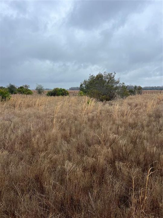 待售: $129,900 (5.76 acres)