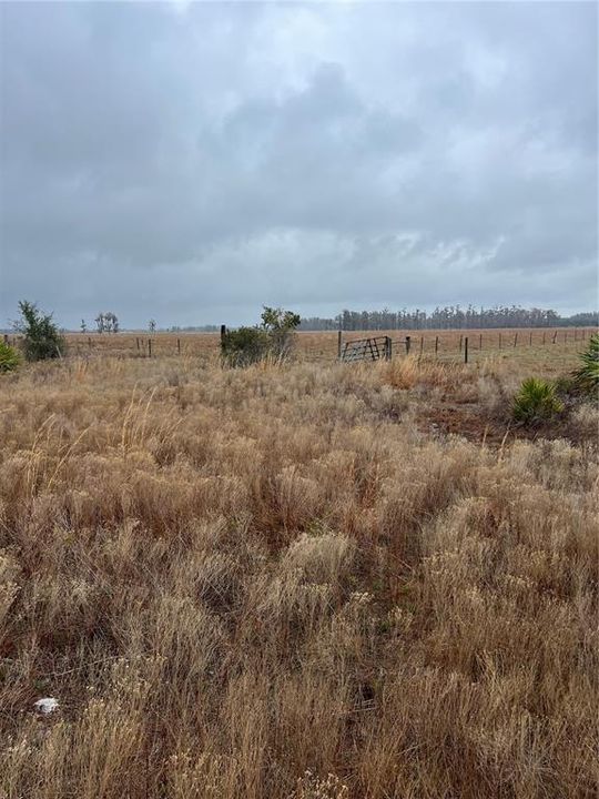 待售: $119,900 (5.01 acres)