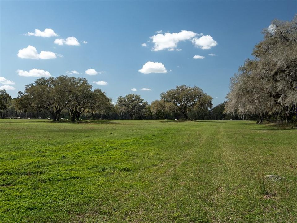 待售: $4,380,750 (49.50 acres)