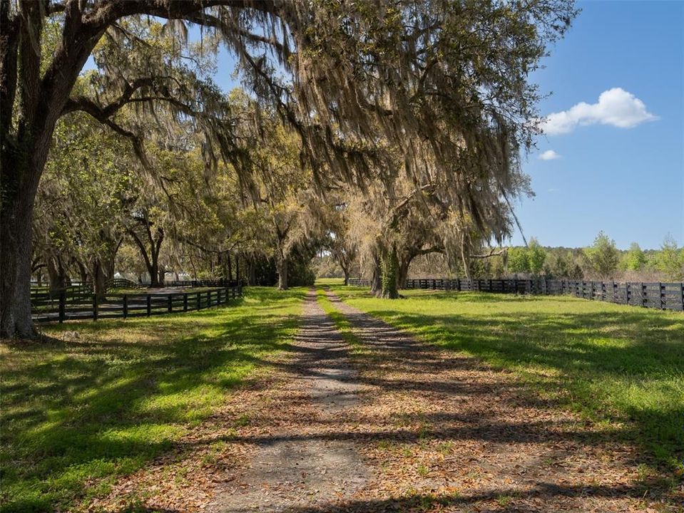 待售: $4,380,750 (49.50 acres)