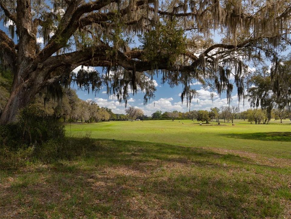 待售: $4,380,750 (49.50 acres)
