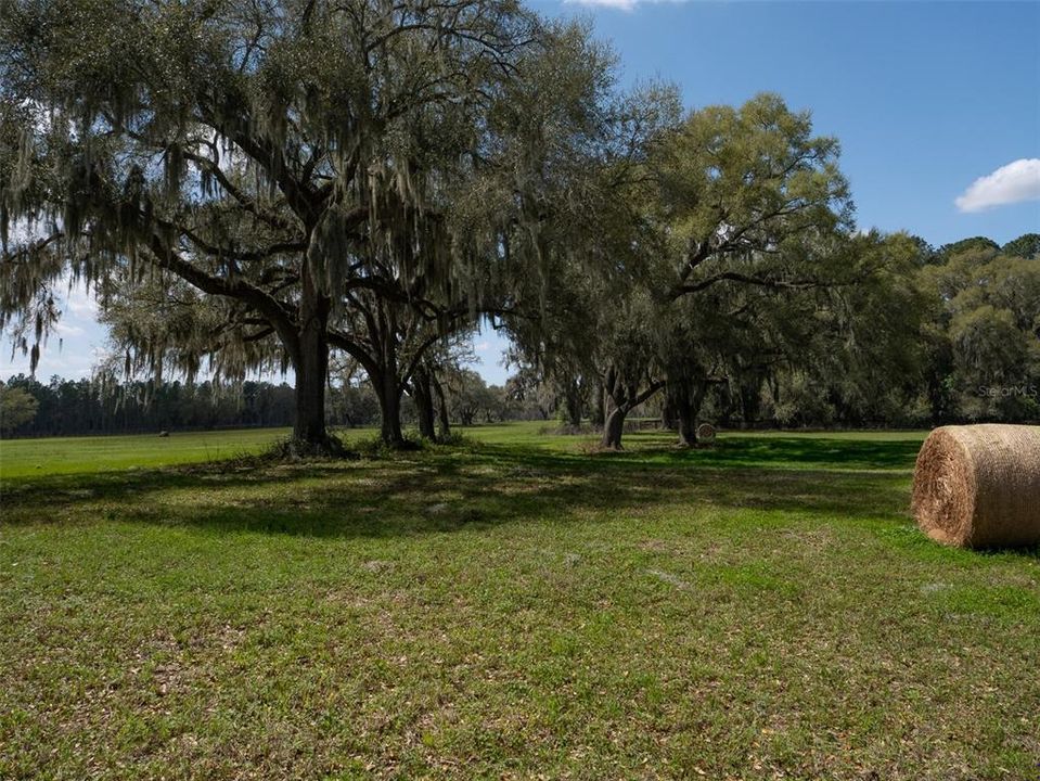待售: $4,380,750 (49.50 acres)