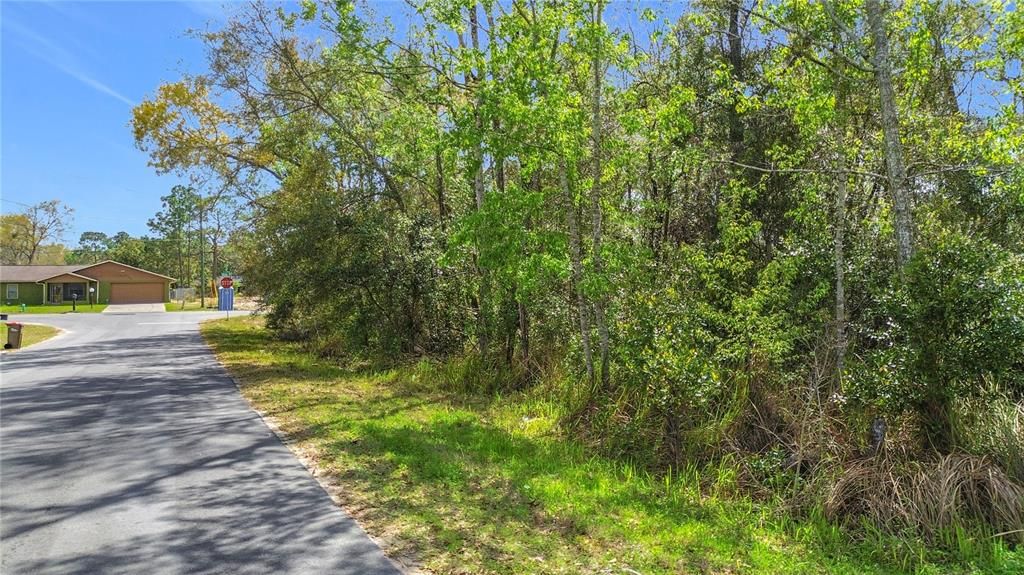 На продажу: $45,000 (0.32 acres)