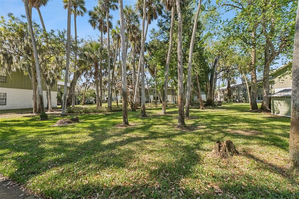 For Sale: $125,000 (1 beds, 1 baths, 624 Square Feet)