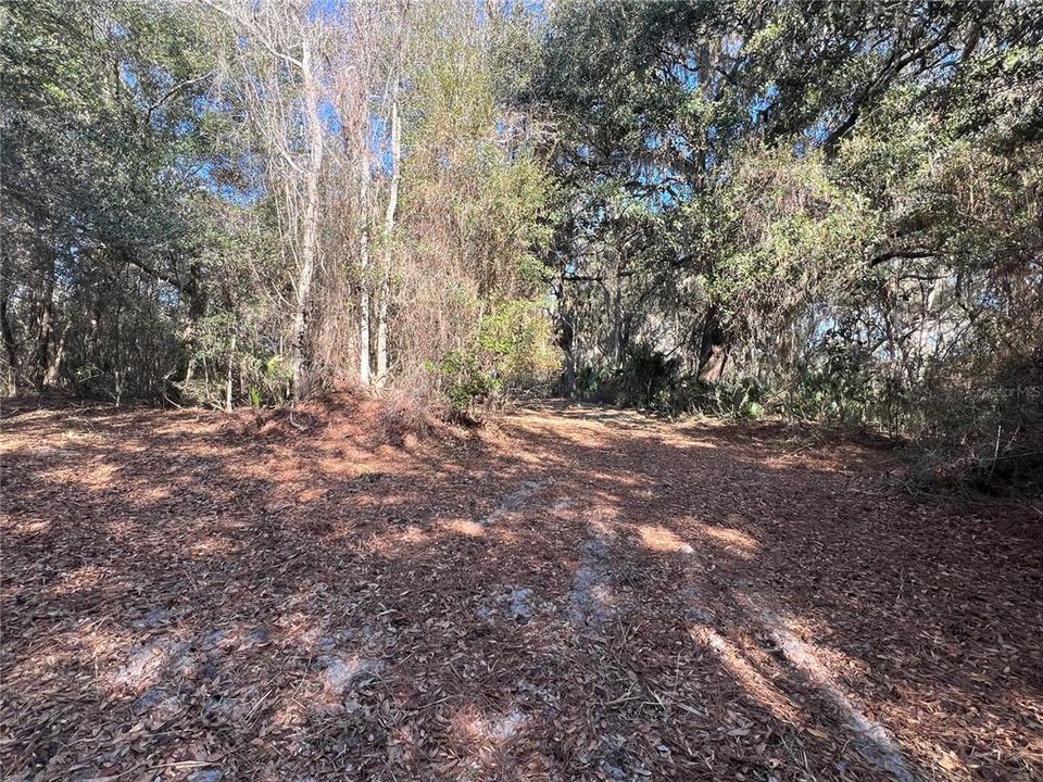 For Sale: $2,693,000 (158.00 acres)